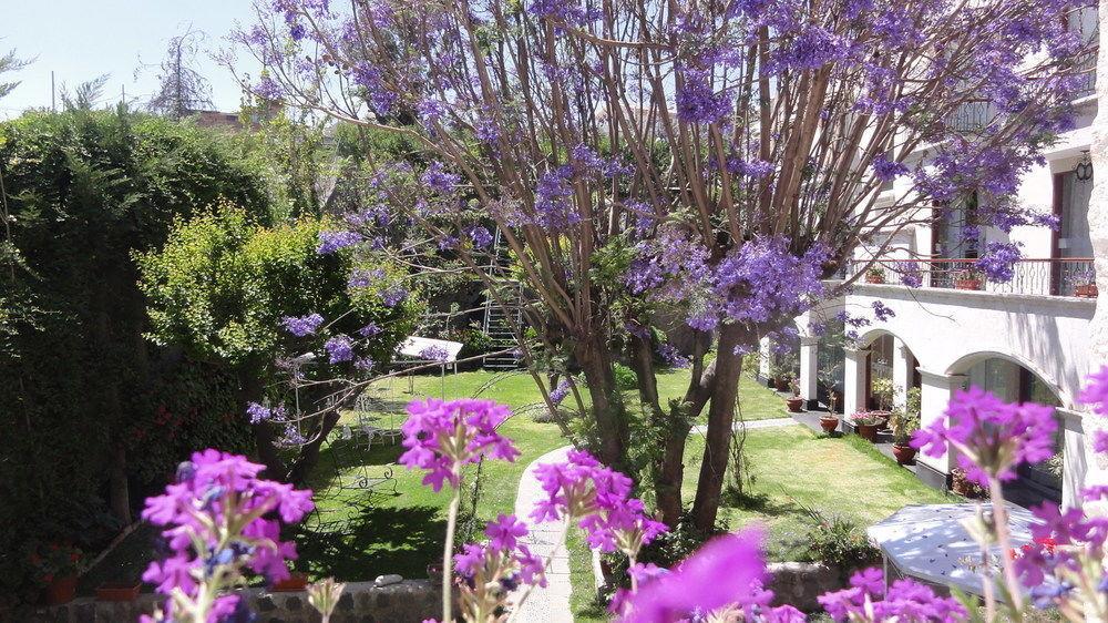 Hotel Boutique Villa Elisa Arequipa Ngoại thất bức ảnh